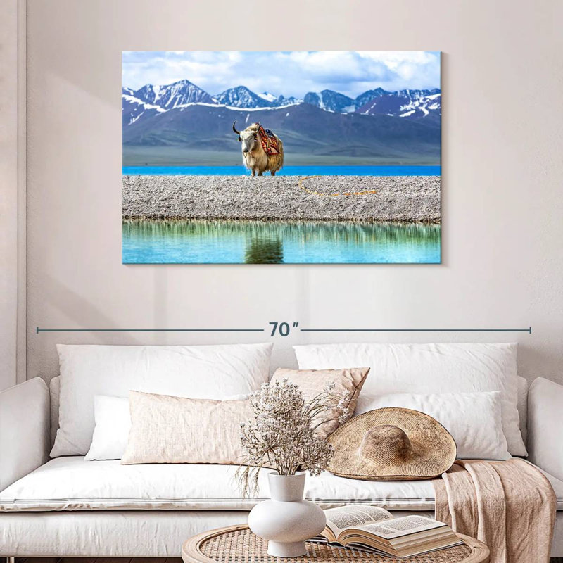 Yak In Namtso Lake