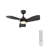 30 Inch Indoor Ceiling Fans with Lights and Remote Control, DC Slient Motor, Dimmable, Reversible, Timmer, 3 CCT, Black