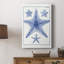 Blue Sea Stars VIII -Gallery Wrapped Cavas-1618701355