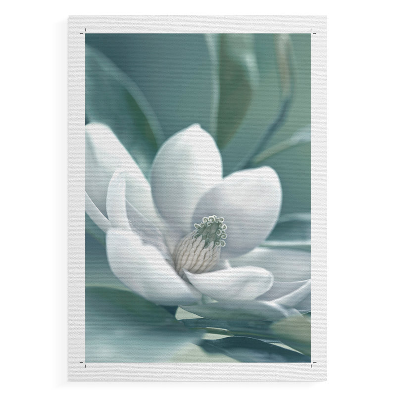 Magnolia - Impression sur toile seulement - NON CADRE, H 18 po x l 12 po