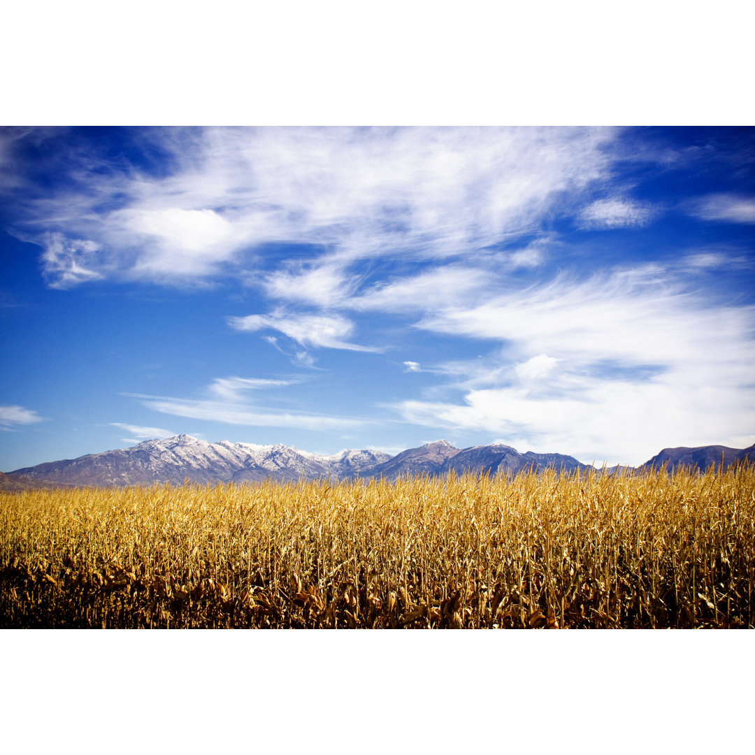 Autumn Mountain Scape von RichVintage - Druck