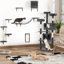 Ensemble d'arbre à chat 6 pièces Degollado
