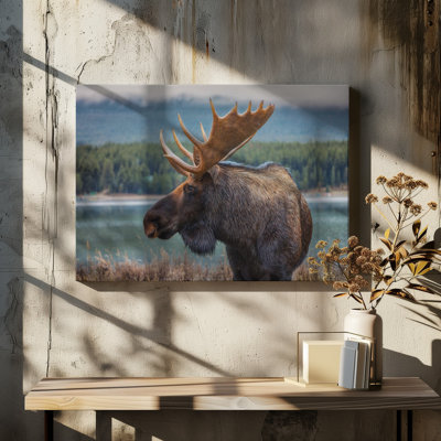 Wrapped Canvas Print