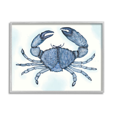 Crabe bleu, mer de griffes
