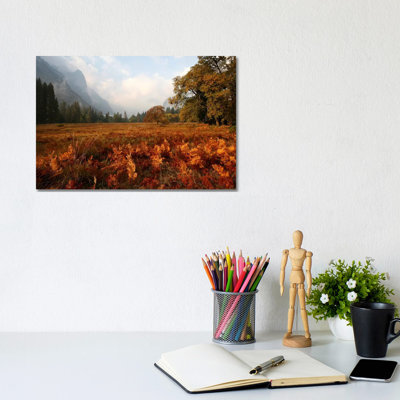 Meadow 1 Piece Wrapped Canvas Wall Art