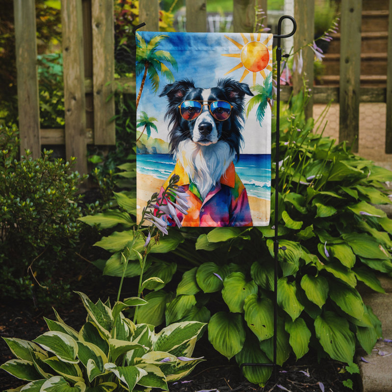 Bouvier bernois avec drapeau de jardin, Border collie