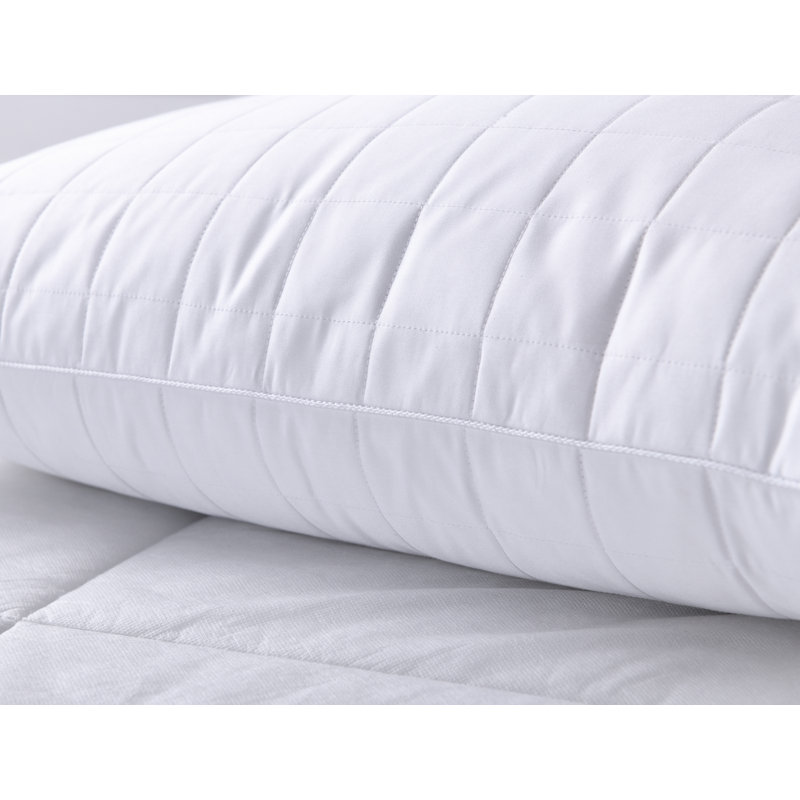 Coussin de support moyen Deleon, Géant