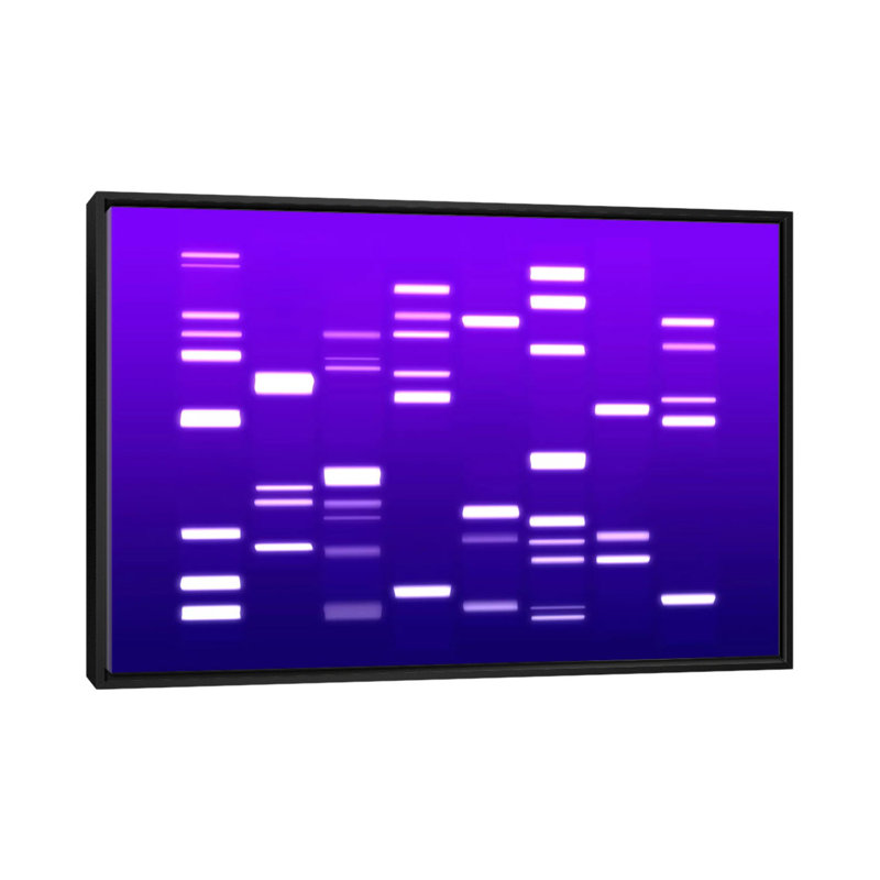 «ADN Genetic Code» par Michael Tompsett, impression sur toile, H 18 po x l 26 po x P 1,5 po, Toile avec cadre noir
