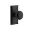 Ageless Iron Vale Plate with Keep Knob