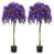 Mauve est en rupture de stock