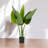 Artificial Bird Of Paradise Tree In Plastic Nursery Pot-1353042474