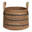 17 Stories Alondrea Banana Leaves Decorative Basket