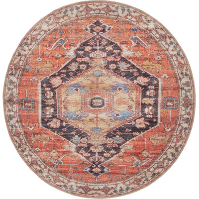 Vintage Collection - Machine Washable Area Rug, Vintage Washable Rug, Non Slip Area Rug, Low Pile Living Room Rug, Bedroom Rug, Bathroom Rug - Easy Clean (Terra Rug)