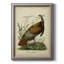 Audubon Wild Turquie - reproduction d'art sur toile-585684724
