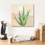 Winston Porter 'Desert Greenhouse 5' by Danhui Nai Canvas Wall Art-1342166048