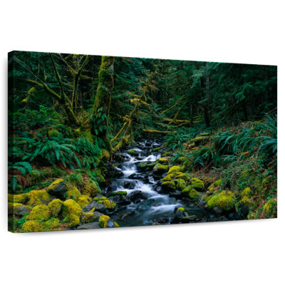 Alvord Olympic National Park Stream