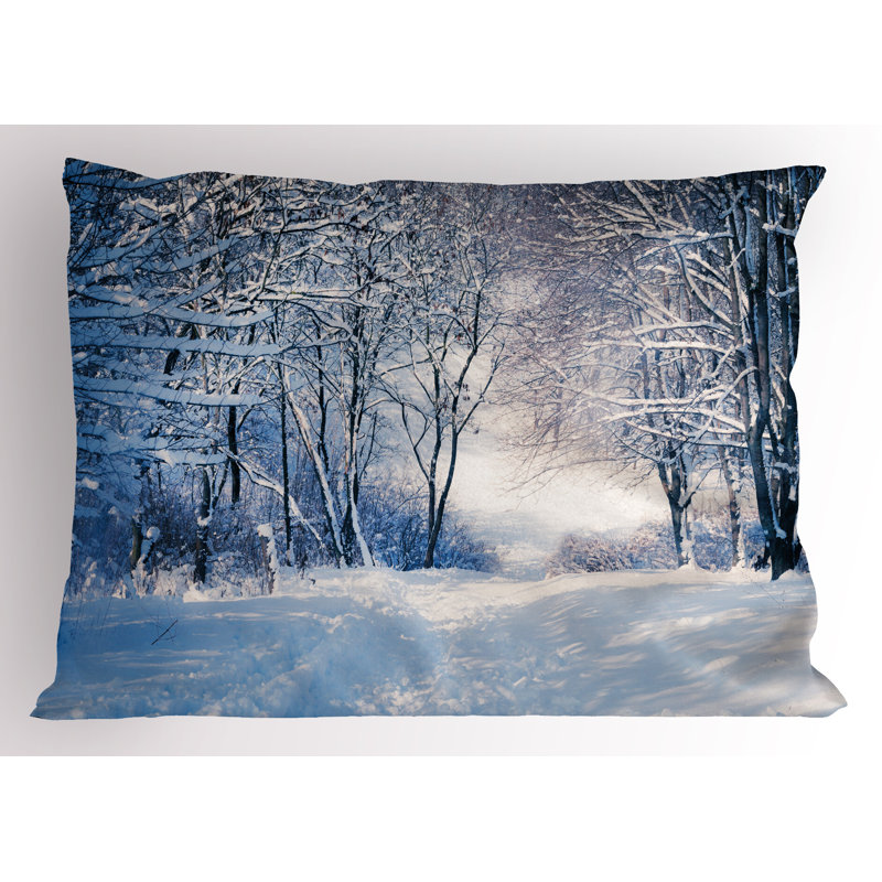 Ensemble de 2 taies décoratives Ambesonne Winter, H 20 po x l 36 po