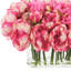 Peonies Arranged in a Glass Vase-1218887326
