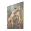 «Classic Frog Portrait - Frogs & Toads», art mural sur bois de pin naturel-633469063