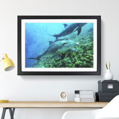 Dolphins - Picture Frame Painting
