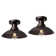 Ceiling Light Fixture
