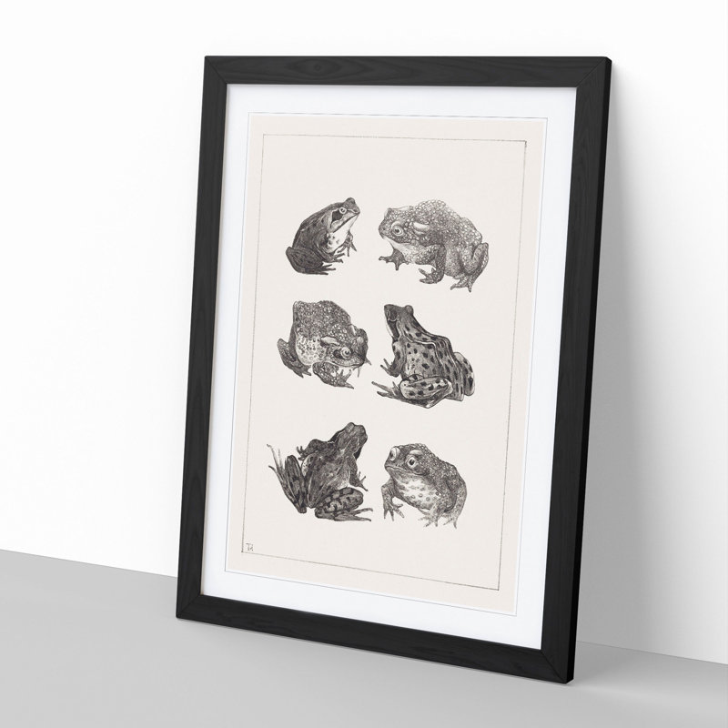 Frogs and Toads by Theo Van Hoytema - Framed Print, 36cm H x 27cm W x 2cm D, Black Framed