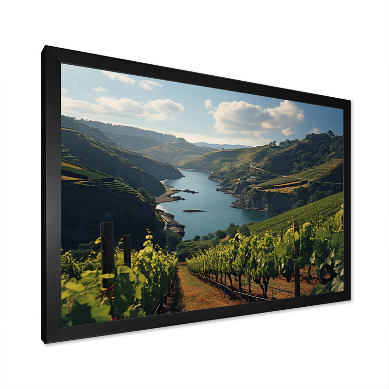 Vignes de Lakeside, H 30 po x l 40 po x P 1,5 po, Cadre photo noir simple