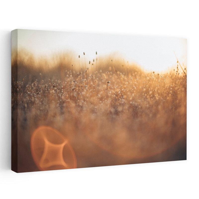 Serene Golden Field During Sunset Abstract Peaceful Serene Autumn Landscape Wall Art by Javier Pardina - Wrapped Canvas Print