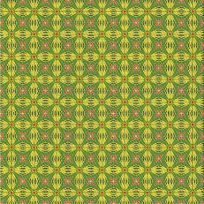 Indoor Rug