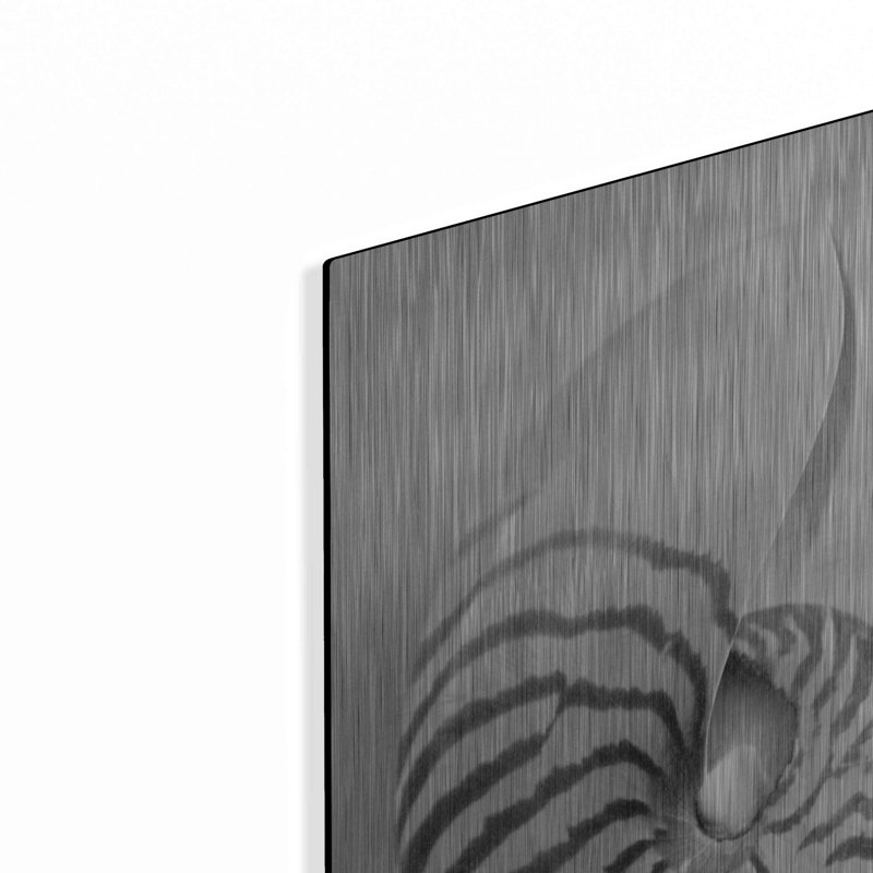"Nautilus 2" par Debra Van Swearingen, H 24 po x l 16 po