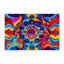 Tapis d'intérieur et d'extérieur Stellar Bloom-2034287016