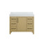 Meuble-lavabo simple 42 po_Traditional_VF60642-BS-20934071