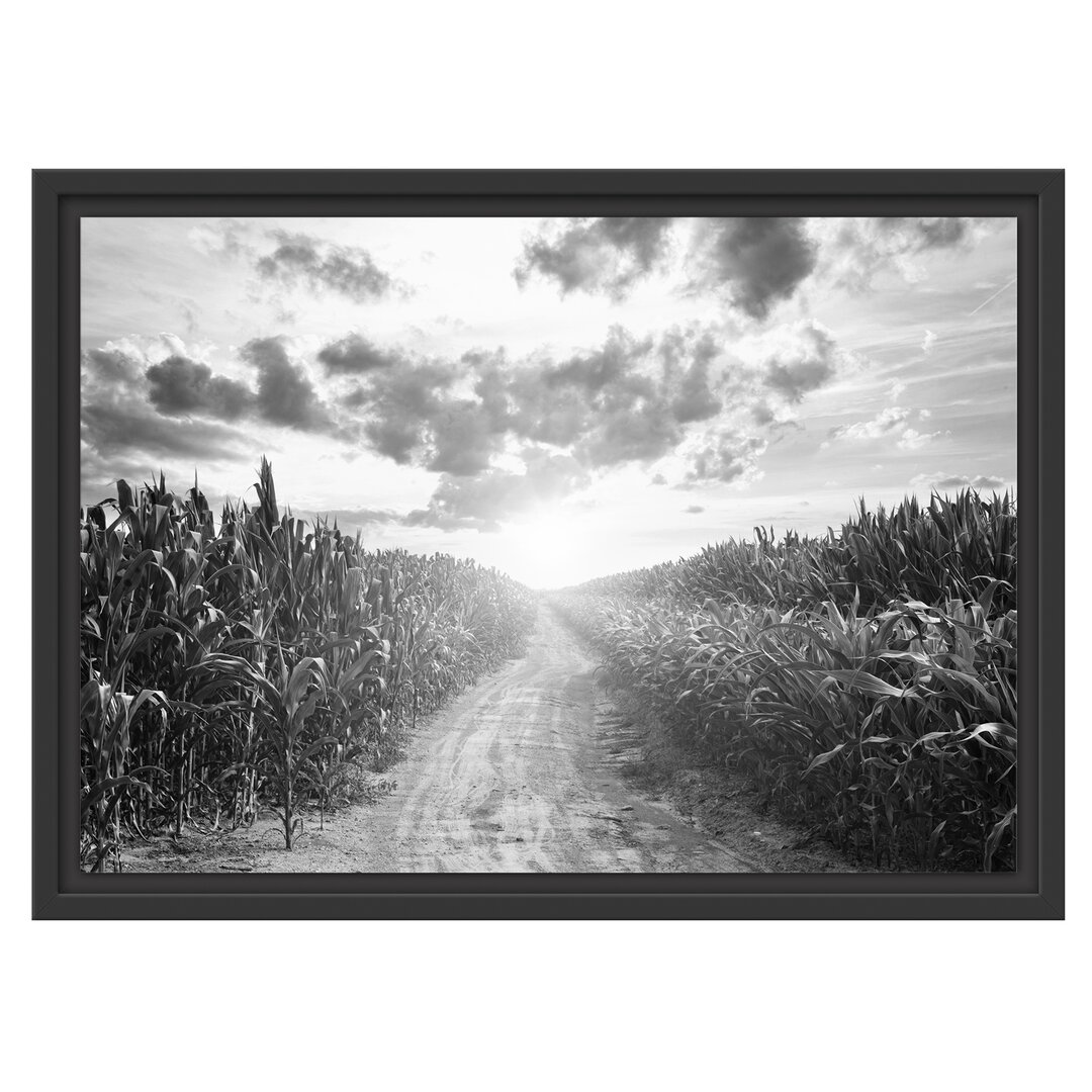 Gerahmtes Wandbild Pfad durch sonniges Feld Kunst B&W