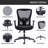 Shipp Ergonomic Mesh Task Chair