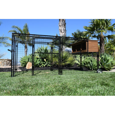 Polk Chicken Coop with Chicken Run and Nesting Box