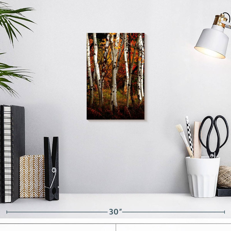 Harnek Paper Birch, 12" H x 8" W