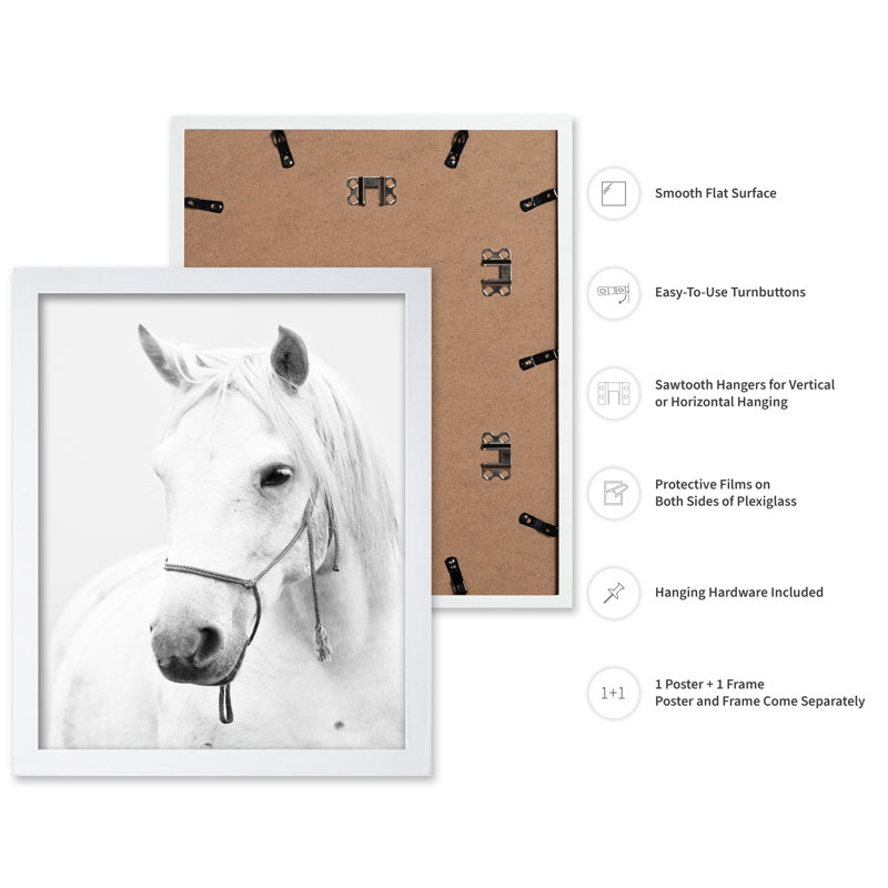 Portrait de cheval blanc, Poster, 24"H x 32"W, White Framed