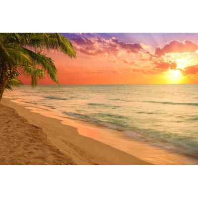 " Caribbean Beach At Sunset " by Vovan13