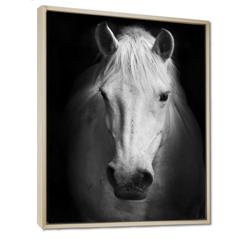 Cheval, reproduction d'art sur toile, cheval noir et blanc, H 32 po x l 24 po, Reproduction avec cadre flottant, Érable