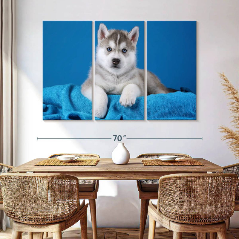 Chiot Husky aux yeux bleus Brampt, H 42 po x l 65 po