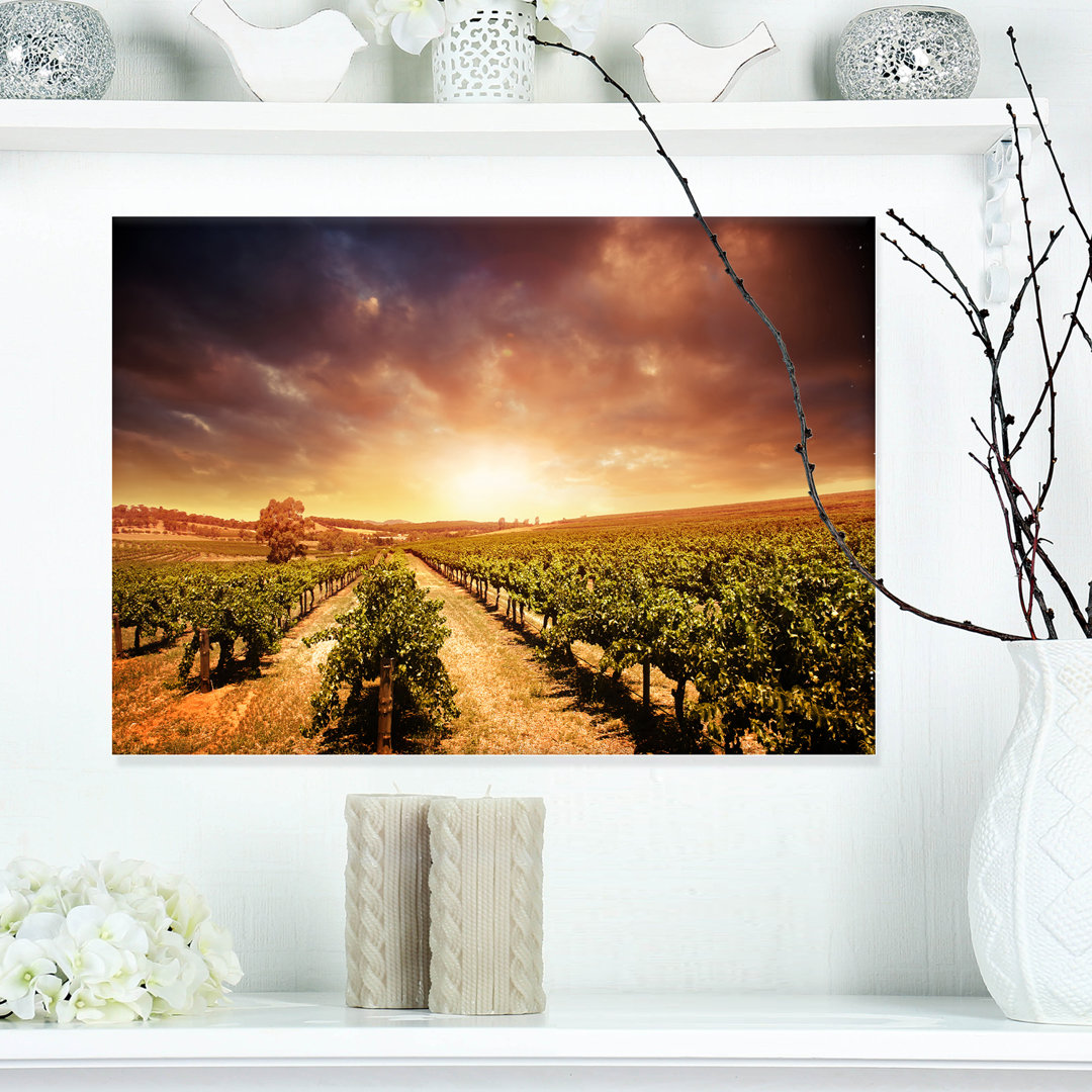 Vineyard with Stormy Sunset Photographic Print on Wrapped Canvas Design Art 