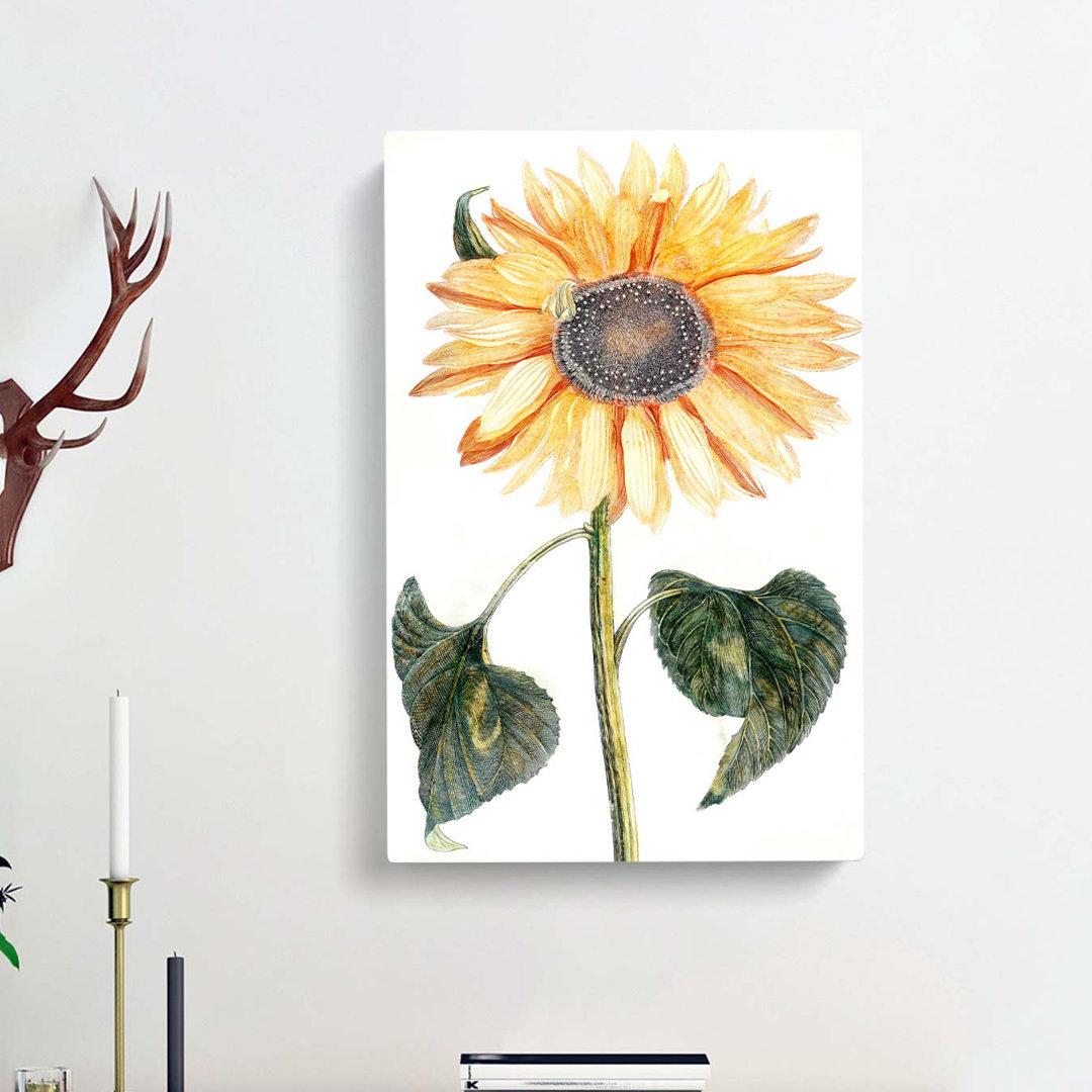 Sunflower by Johan Teyler - Wrapped Canvas