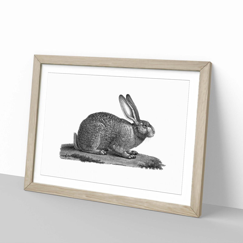 Illustration of a Hare - Framed Print, 36cm H x 48cm W x 2cm D, Oak Framed