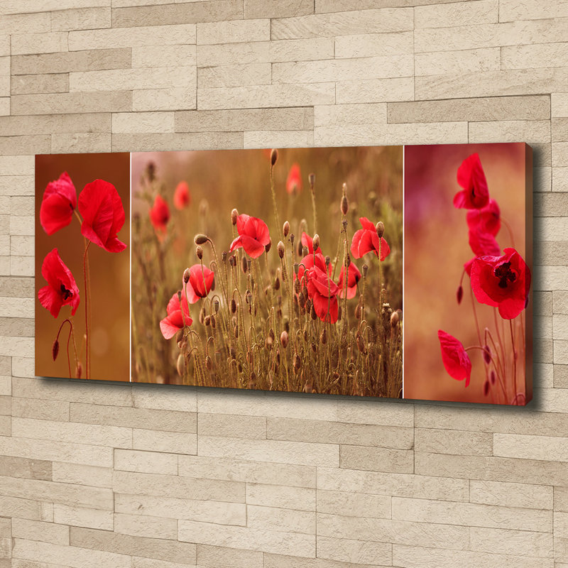 Poppy Triptych - Wrapped Canvas Print