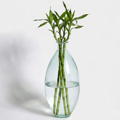 Vase de table larmé Mcclure
