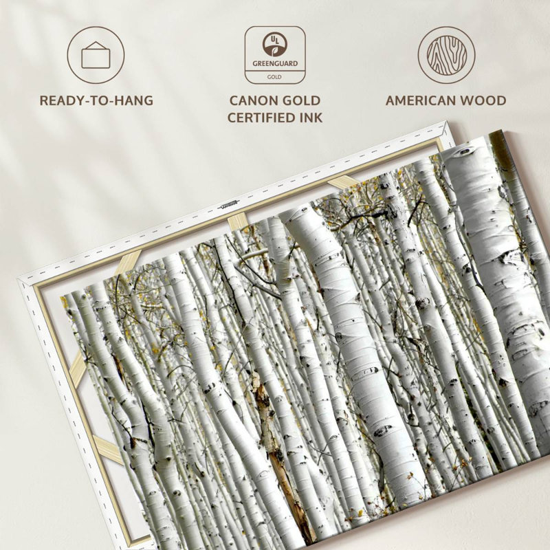 Alvord Birch Wood, 20" H x 30" W