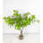 Artificial Greenery Willow Bell Branch in Vase