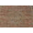 Traditional Area Rug 7x10