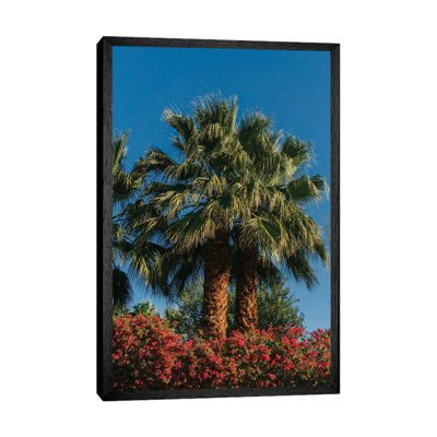 Palm Springs Palms II by Bethany Young - Print on Canvas