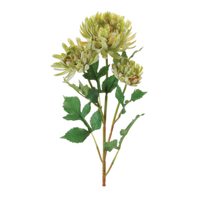 Mum floral